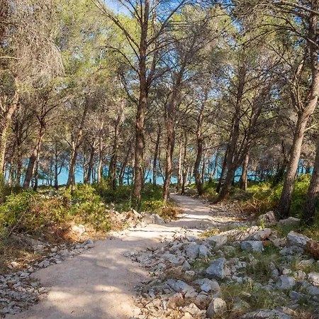 Konstanca يزيرا